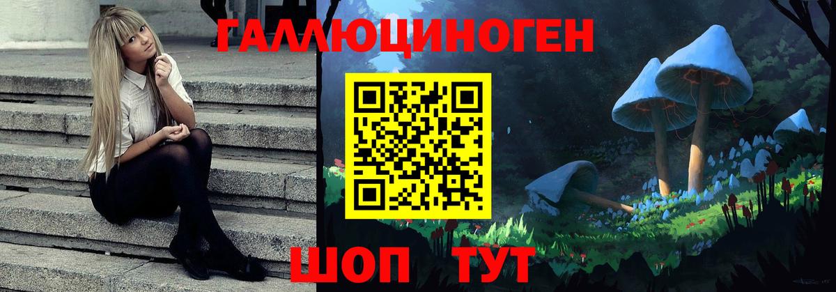Семёнов  Галлюциногенные грибы ЛСД  Галлюциногенные грибы прущие грибы  Вход с VPN 